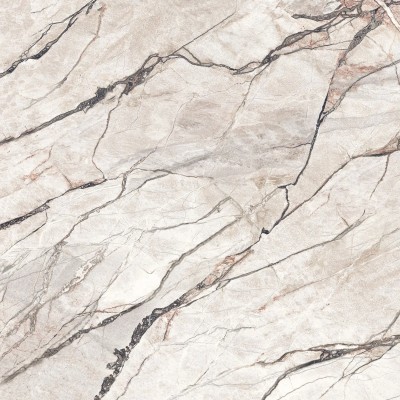 Керамогранит PF60017514 Supreme Hedonism Quarzite Sky Nat R 120x120