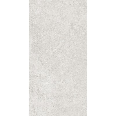 Керамогранит 36904 Cluny Silver 4D/50X100X2/A/R 50x100