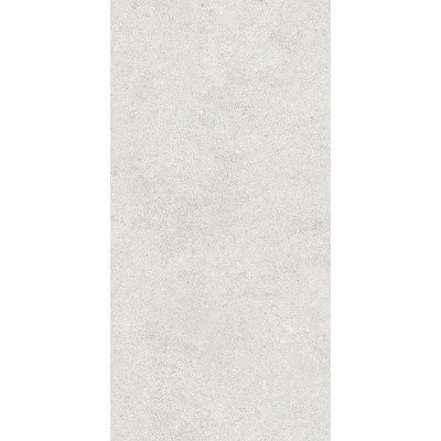 Керамогранит 36904 Cluny Silver 4D/50X100X2/A/R 50x100