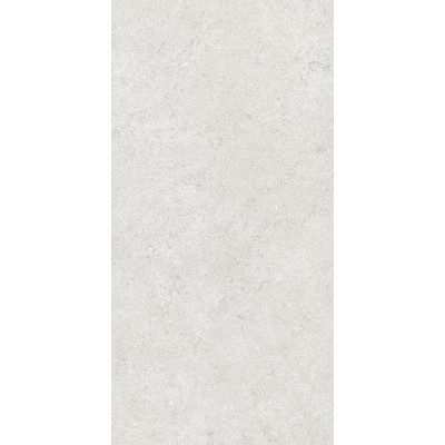 Керамогранит 36904 Cluny Silver 4D/50X100X2/A/R 50x100