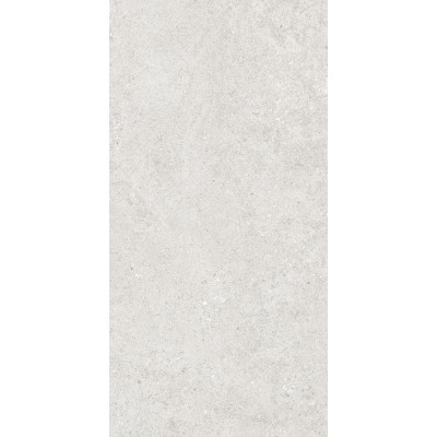 Керамогранит 36904 Cluny Silver 4D/50X100X2/A/R 50x100