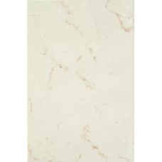 Плитка Авиньон переходная 25х50