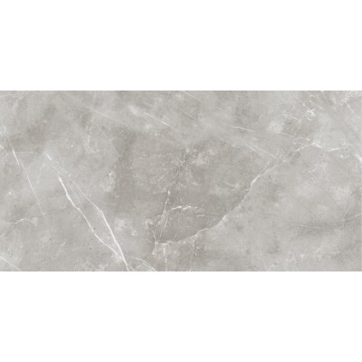 Керамогранит 610010001413 Charme Evo Imperiale Nat Ret 60х120