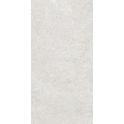 Керамогранит 36904 Cluny Silver 4D/50X100X2/A/R 50x100