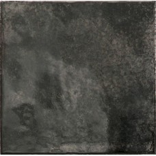 Плитка 30011 Black Ash 10х10