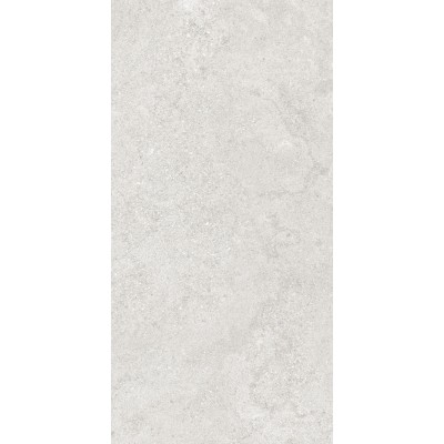 Керамогранит 36904 Cluny Silver 4D/50X100X2/A/R 50x100