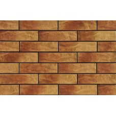 Клинкерная плитка Dakota USA elewacja rustykalna 245x65x6.5