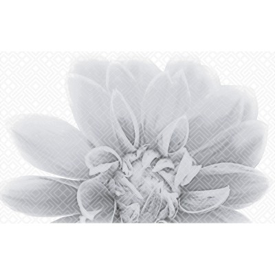 Плитка 010301001886 Камелия чёрный декор 03 25х40