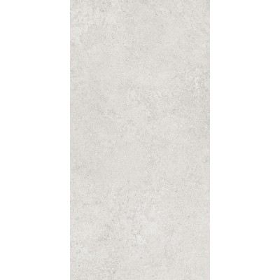 Керамогранит 36904 Cluny Silver 4D/50X100X2/A/R 50x100