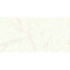 Керамогранит A4RH Marvel Calacatta Delicato Lappato 120x240