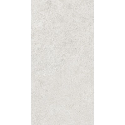 Керамогранит 36904 Cluny Silver 4D/50X100X2/A/R 50x100