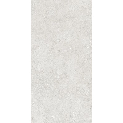 Керамогранит 36904 Cluny Silver 4D/50X100X2/A/R 50x100