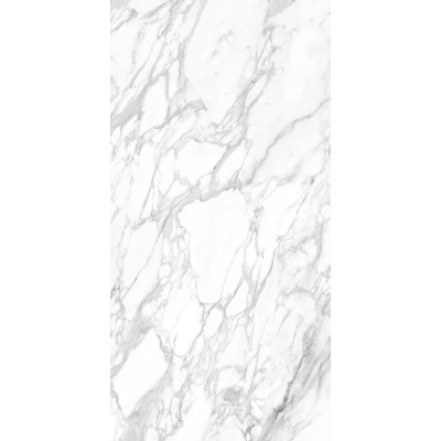 Керамогранит 010400001373 Platinum white PG 11 60х120