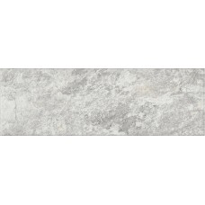 Плитка 616 Image Silver 32,5х100