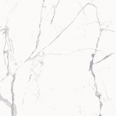 Керамогранит 600010002386 Stellaris Statuario White Nat Ret 120x120