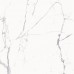 Керамогранит 600010002386 Stellaris Statuario White Nat Ret 120x120