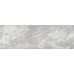Плитка 616 Image Silver 32,5х100