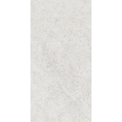 Керамогранит 36904 Cluny Silver 4D/50X100X2/A/R 50x100