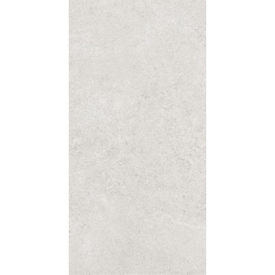 Керамогранит 36904 Cluny Silver 4D/50X100X2/A/R 50x100