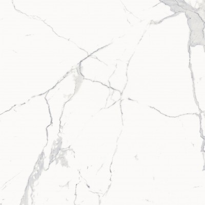 Керамогранит 600010002386 Stellaris Statuario White Nat Ret 120x120