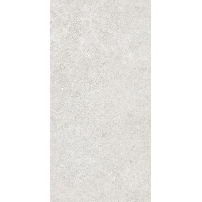 Керамогранит 36904 Cluny Silver 4D/50X100X2/A/R 50x100