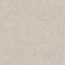 Керамогранит 100348032 Terra Topo 120x120