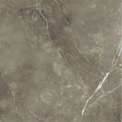 Керамогранит 600010002388 Stellaris Tuscania Grey Nat Ret 120x120