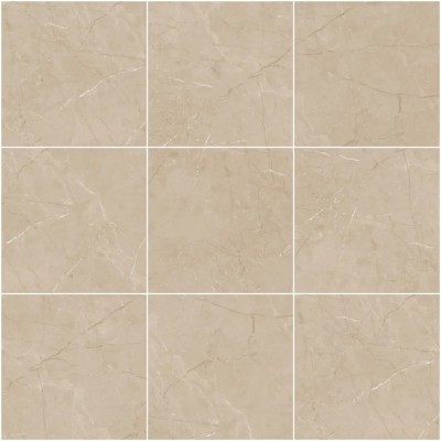 Керамогранит E-1009/MR бежевый 600x600x9