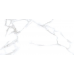 Керамогранит N20531 Statuario Chic Polished 60x120