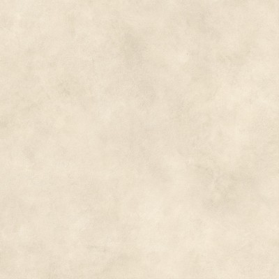 Керамогранит AYT8 Boost Expression Shell Matte 120x120