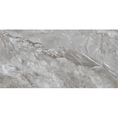 Керамогранит Suzlo Grey Glossy 60x120