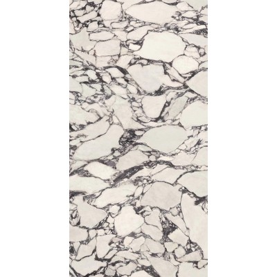 Керамогранит HCLZ Calacatta Viola Polished 6mm 160x320