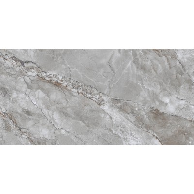 Керамогранит Suzlo Grey Glossy 60x120