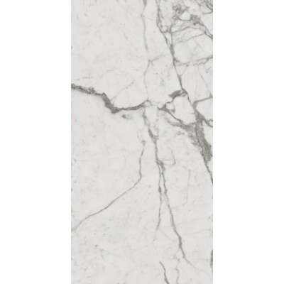 Керамогранит 610010001410 Charme Evo Statuario Nat Ret 60х120