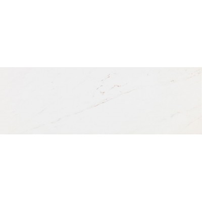 Плитка 100294524 Rivoli Matt 33.3x100