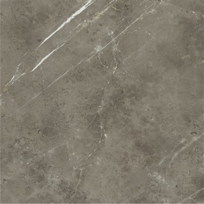Керамогранит 600010002388 Stellaris Tuscania Grey Nat Ret 120x120