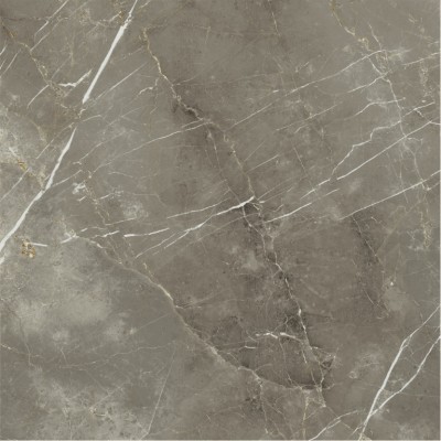 Керамогранит 600010002388 Stellaris Tuscania Grey Nat Ret 120x120