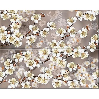 Плитка Amati Sakura 40.2х50.5