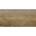 Ступени G-252/SR/st01 Italian Wood 20х60