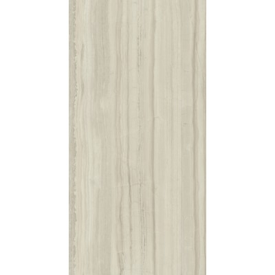 Керамогранит 610015000586 Шарм Эдванс Силк Грэй Пат 60x120