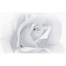 Плитка 010301001885 Камелия чёрный декор 02 25х40