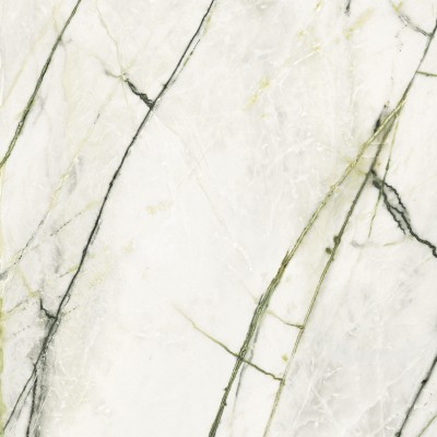 Керамогранит 100331093 Calacata Green Polished 120x120