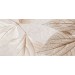 Плитка TP3688F2 Декор Ирида Листья 2 ректификат 30x60