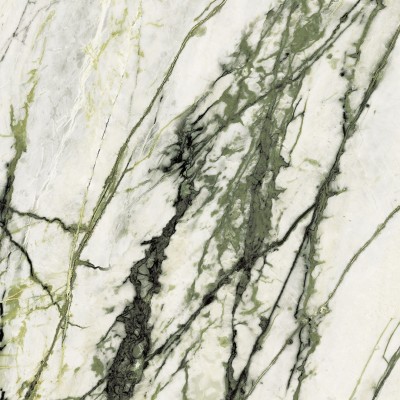 Керамогранит 100331093 Calacata Green Polished 120x120