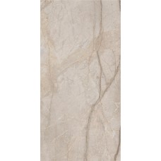 Керамогранит 610010002835 Stellaris Elegant Silver Nat Ret 60x120