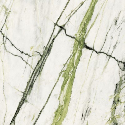 Керамогранит 100331093 Calacata Green Polished 120x120