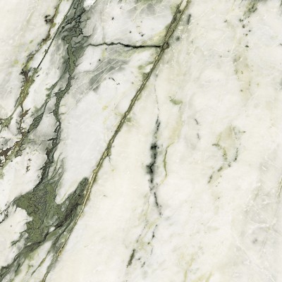 Керамогранит 100331093 Calacata Green Polished 120x120