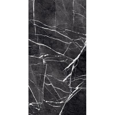 Керамогранит GR203 Fedele Negro High glossy 600x1200