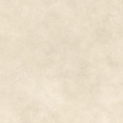 Керамогранит AYT8 Boost Expression Shell Matte 120x120