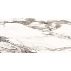 Керамогранит AB3126G Primo 120x60